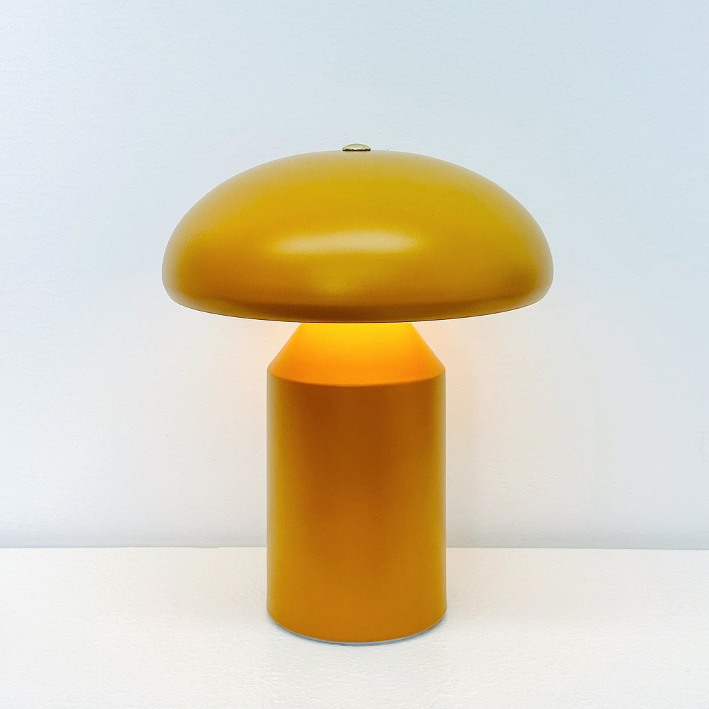 Indoor mushroom lamp