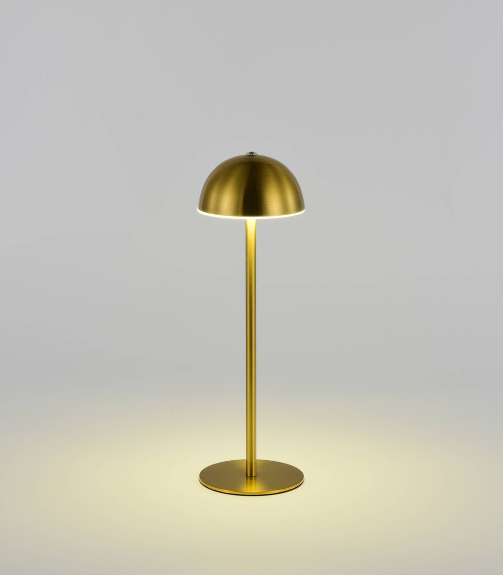 Metal ChargingTable Lamp