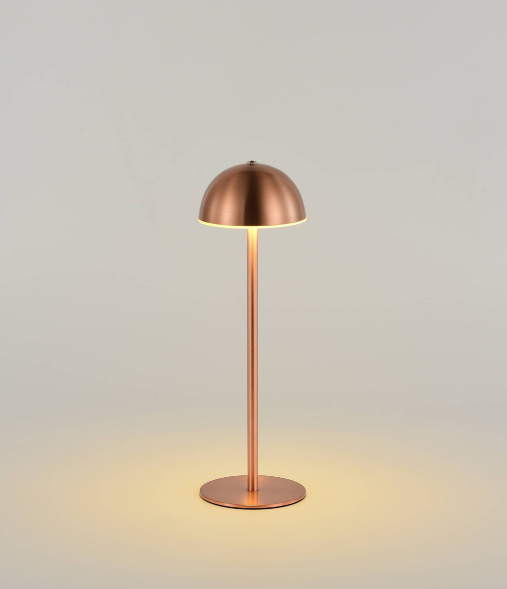 Metal ChargingTable Lamp