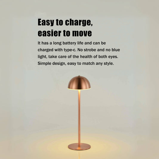 Morden style Metal ChargingTable Lamp